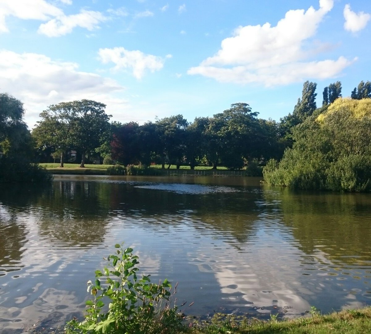 East Park (Kingston-upon-Hull) - All You Need to Know BEFORE You Go