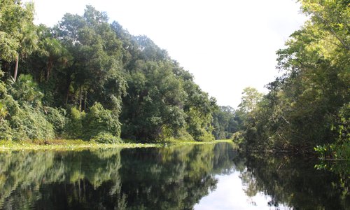 River connected to the springs.