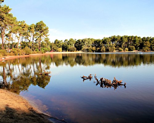 Gujan Mestras Tourist Office - Tourist Offices in Gujan-Mestras - Guide  Bordeaux Gironde