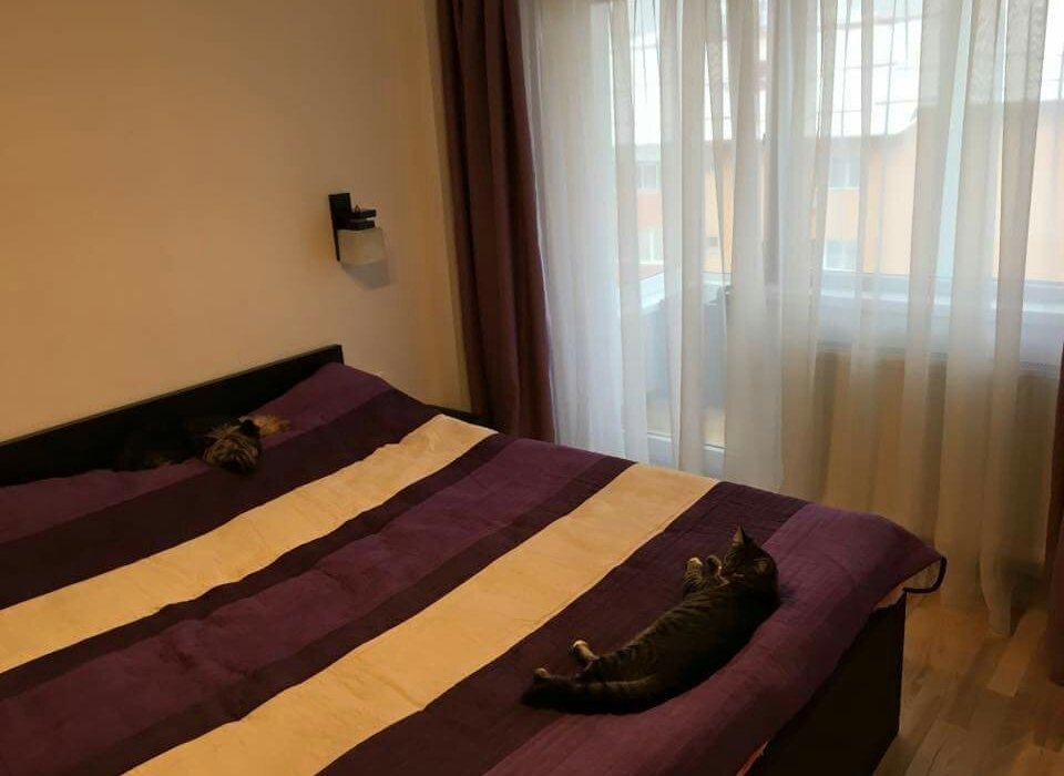 Rolling Stone Hostel by null