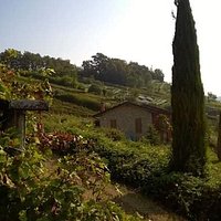 la brugherata