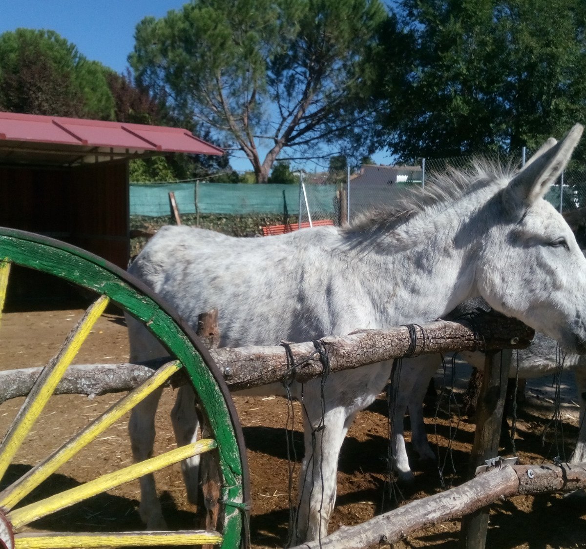 Burrolandia, Трес-Кантос: лучшие советы перед посещением - Tripadvisor