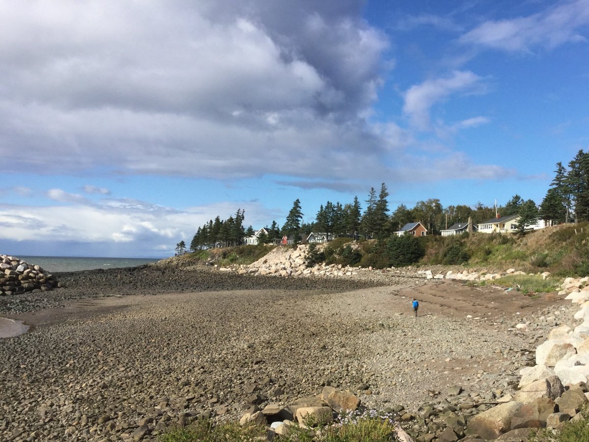 Bay of Fundy  East Coast Modern