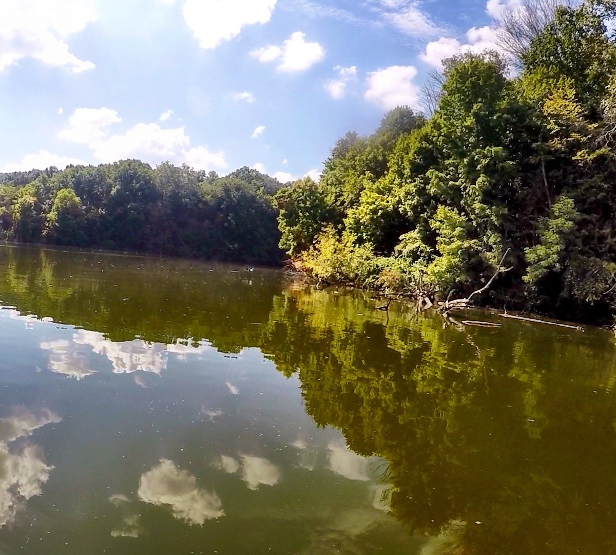 2023年 Eagle Creek Park 行く前に！見どころをチェック トリップアドバイザー