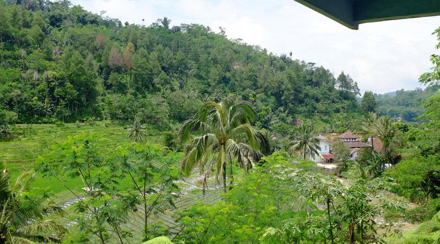 view from RM Kujang