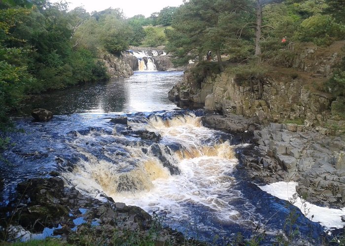 Low Force