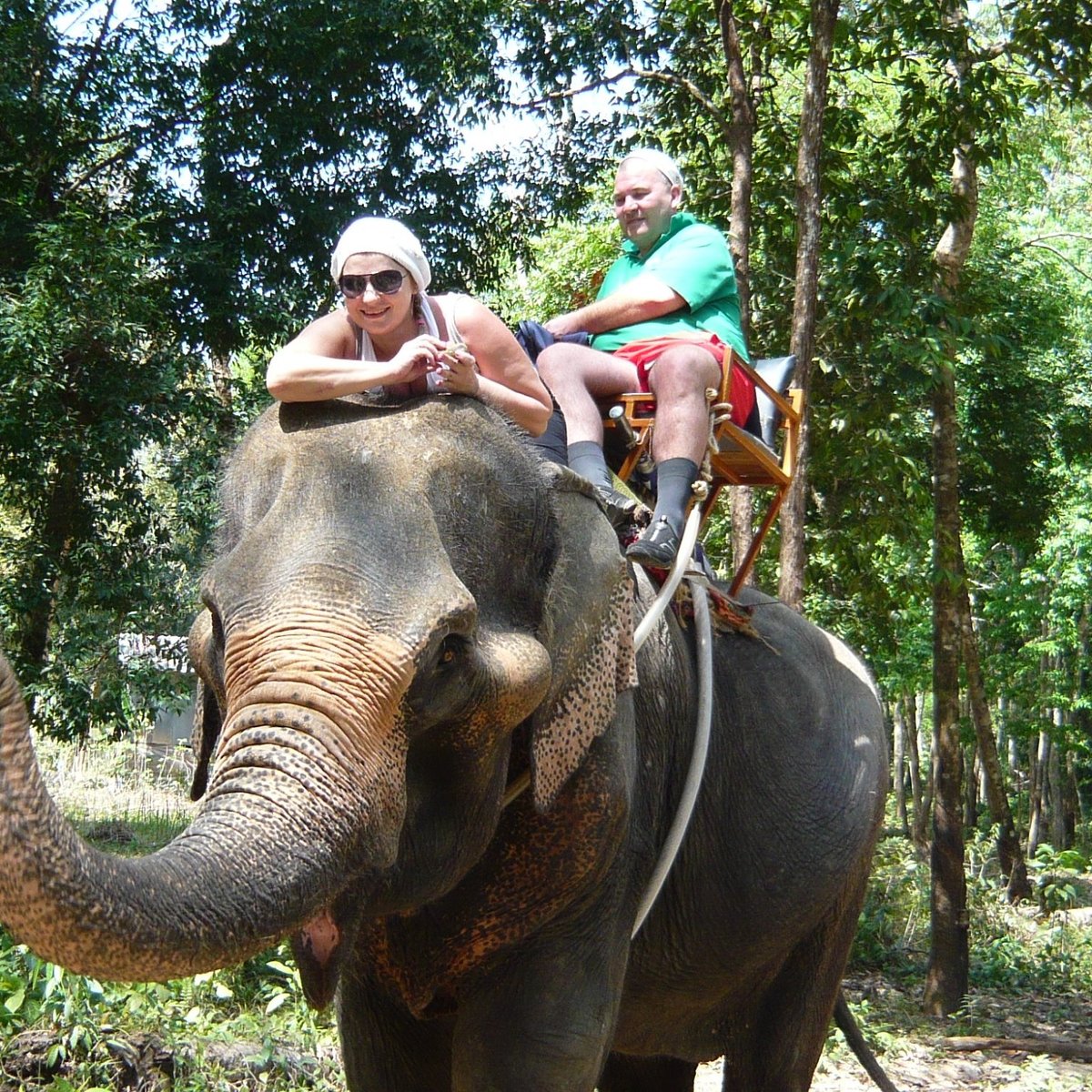 Ban Chang Thai - Elephant Camp, Чанг: лучшие советы перед посещением -  Tripadvisor