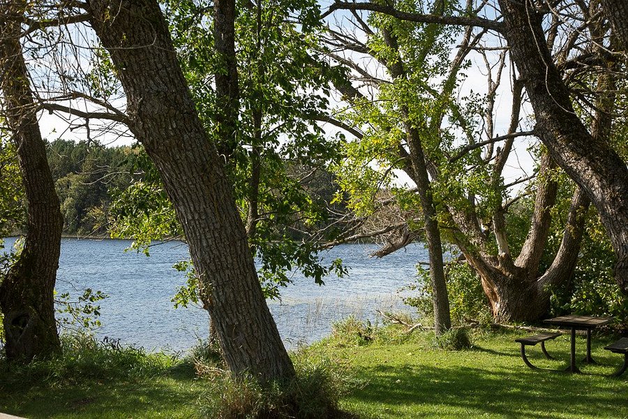 Moose Lake State Park image