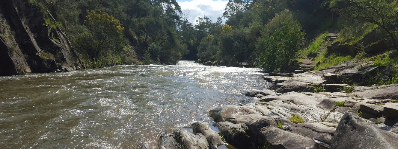 Beautiful surroundings on a leisurely walk...