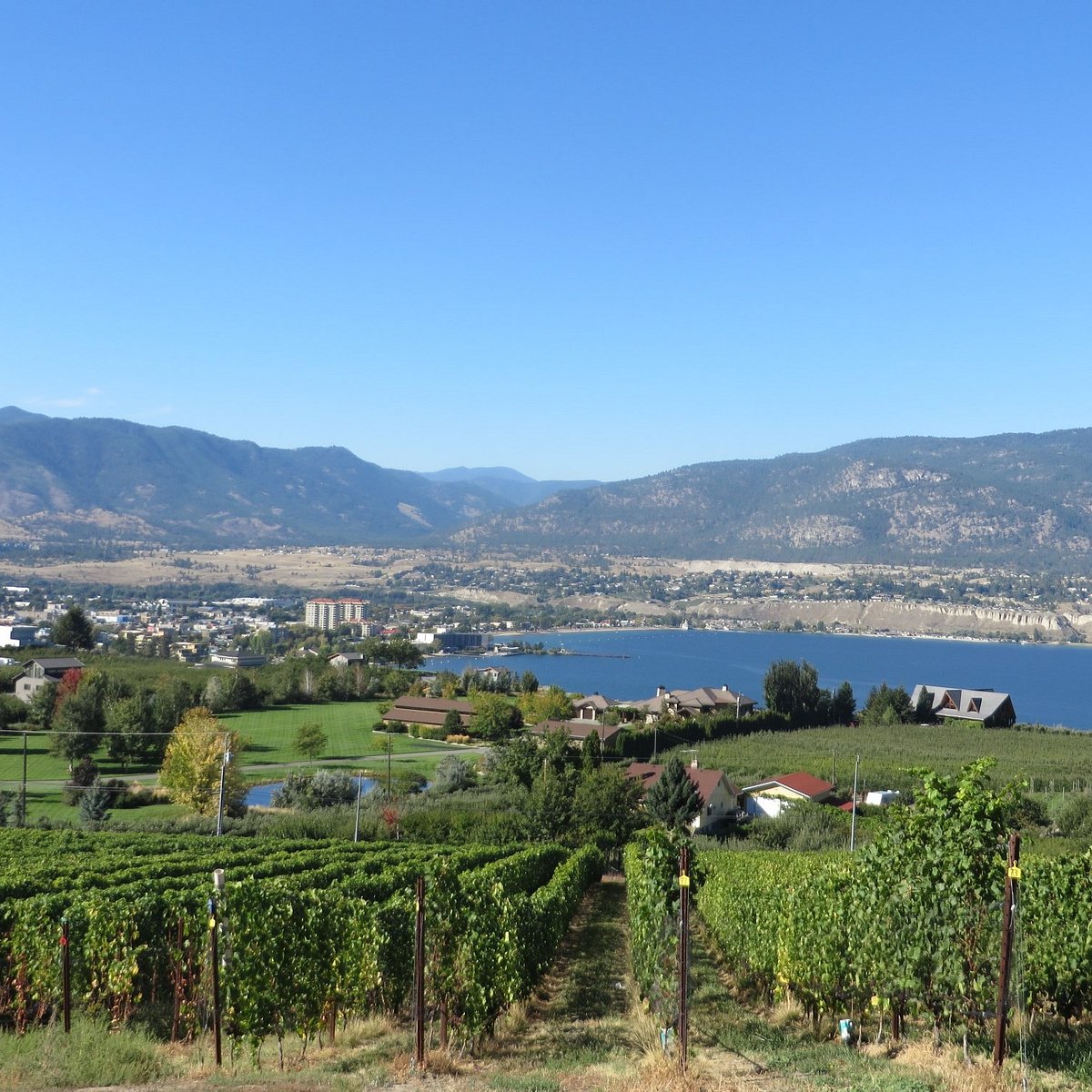 Poplar Grove Winery Penticton 2023 What To Know Before You Go 9844
