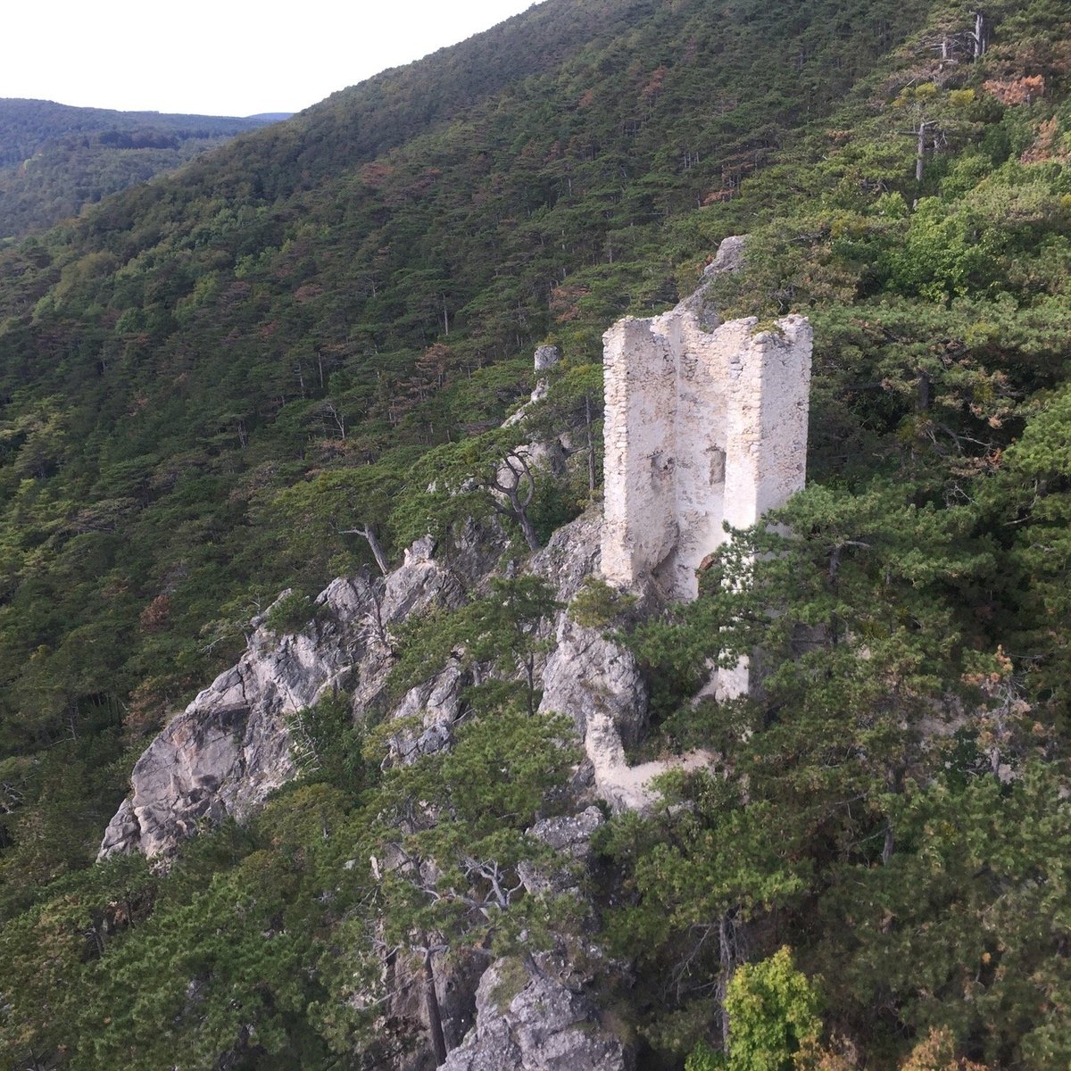 Ruine Rauheneck, Баден: лучшие советы перед посещением - Tripadvisor