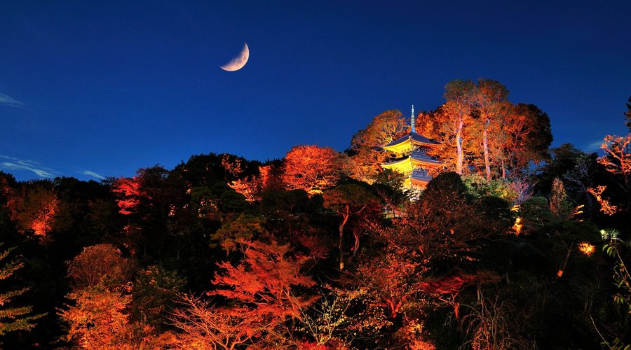 Three storied pagoda in autumn