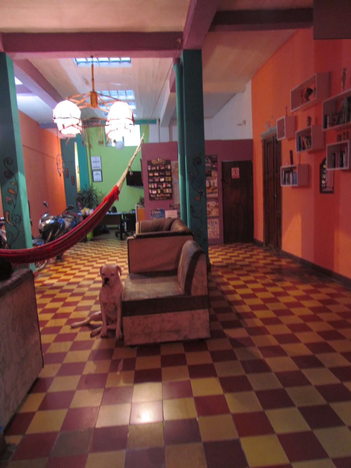 Hotel photo 8 of El Dorado International Hostel.