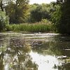 Things To Do in Woods Mill Nature Reserve, Restaurants in Woods Mill Nature Reserve