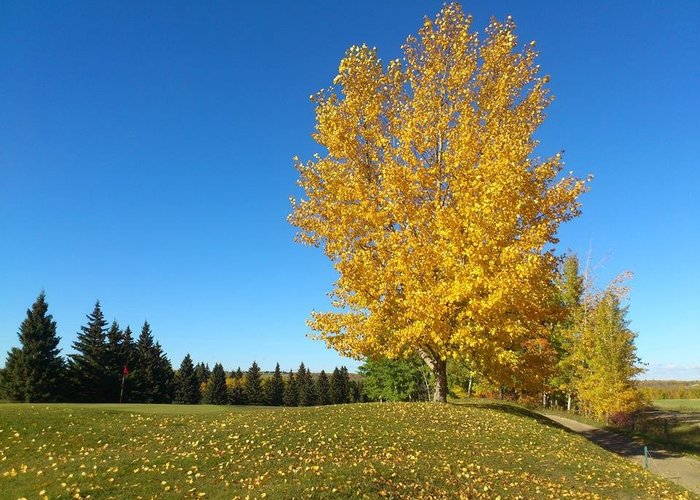 Spirit Creek Golf & Country Club - All You Need to Know BEFORE You Go (with Photos)