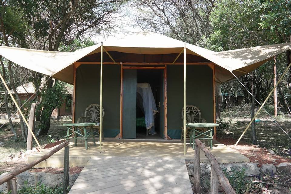 Mara Springs Safari Camp Rooms: Pictures & Reviews - Tripadvisor