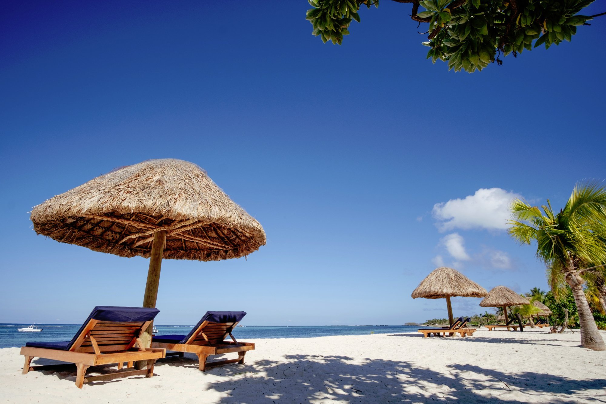 Viwa Island Resort by null