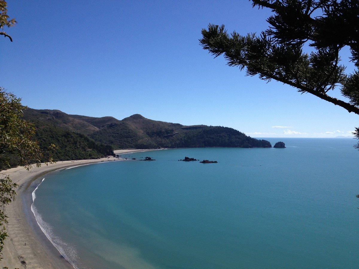 Cape Hillsborough National Park - Lo que se debe saber antes de viajar ...