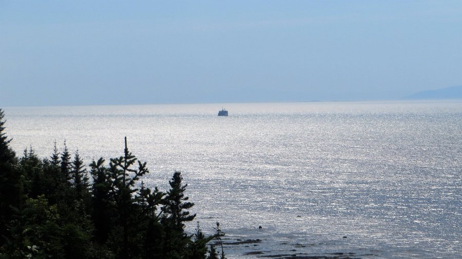 Vue du fleuve