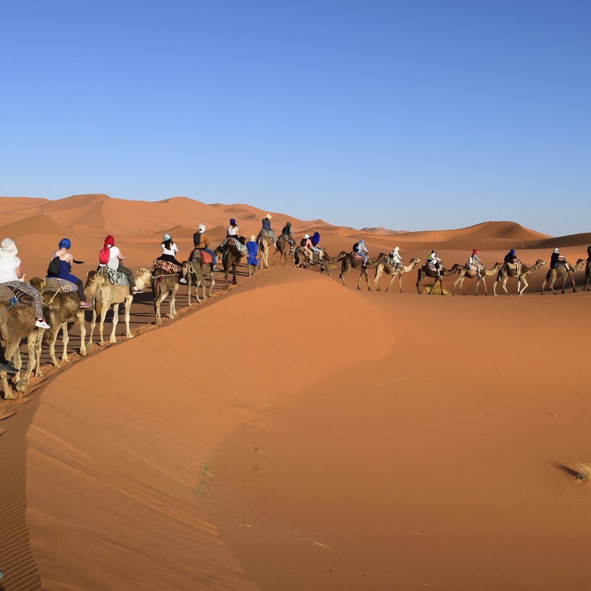 Desert travel. Марокко пустыня. Фес Марокко пустыня. Марокко пустыня сахара. Горы в пустыне Мерзуга Марокко.