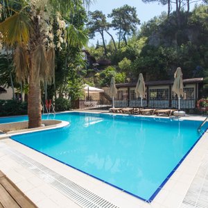 The Pool at the Baga Hotel Gokova