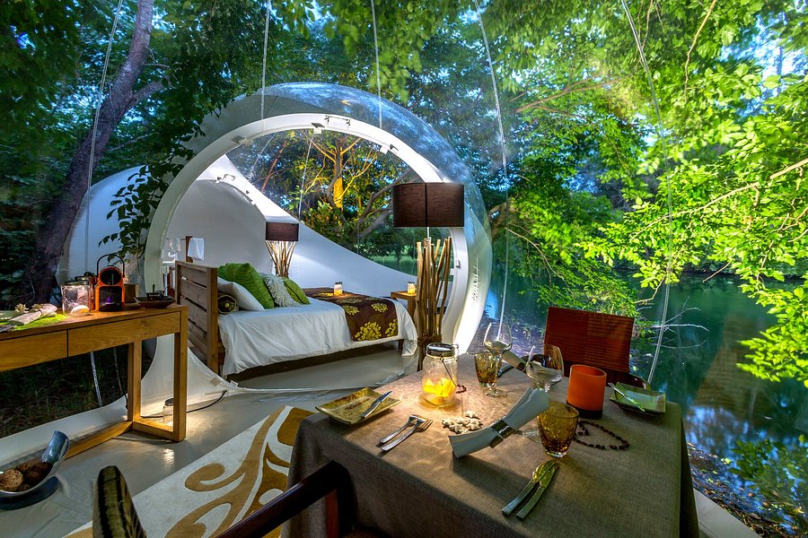 BUBBLE LODGE BOIS CHERI - Hotel Reviews & Price Comparison (Mauritius