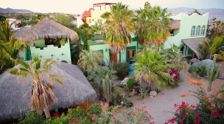 The garden oasis at Casa Verde