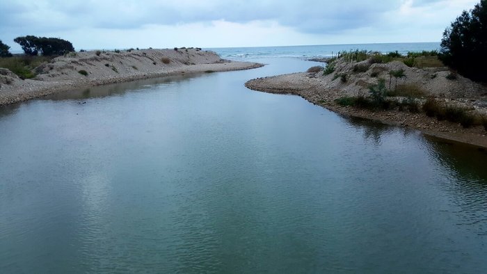 Imagen 1 de Espacio natural de la desembocadura del rio Foix