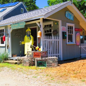Picture Shed