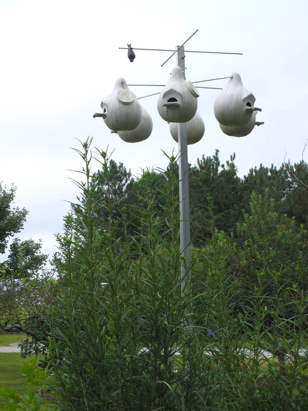 Fearrington Village Bird Houses