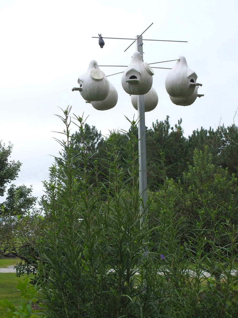 Fearrington Village Bird Houses