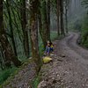 The Travel Curry