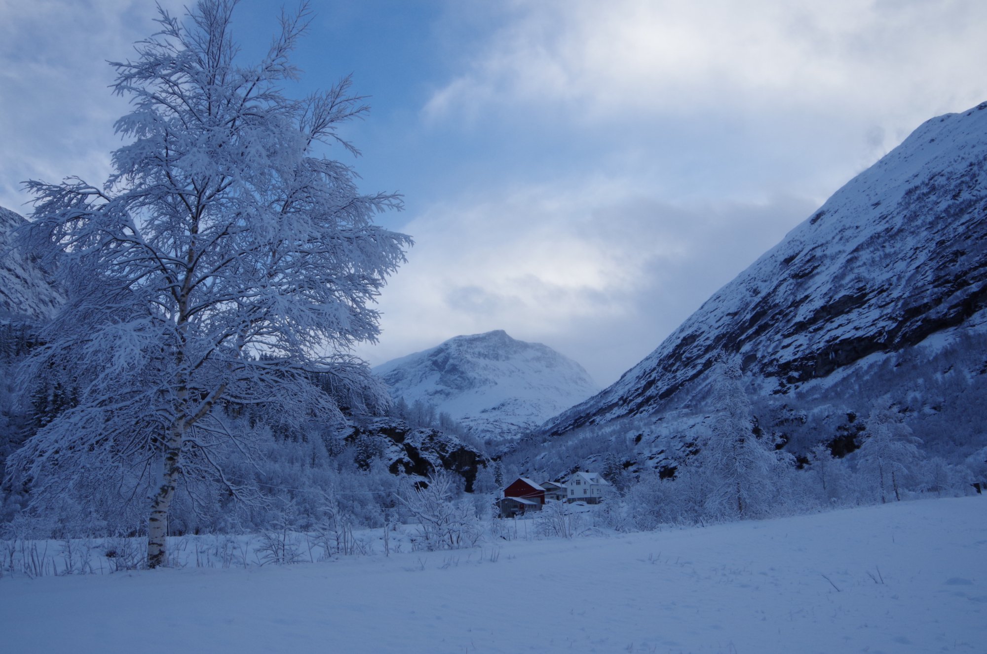 LUNHEIM IN GEIRANGER (Норвегия/Гейрангер) - отзывы, фото и сравнение ...