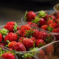 Qualità di fragole:mara des bois