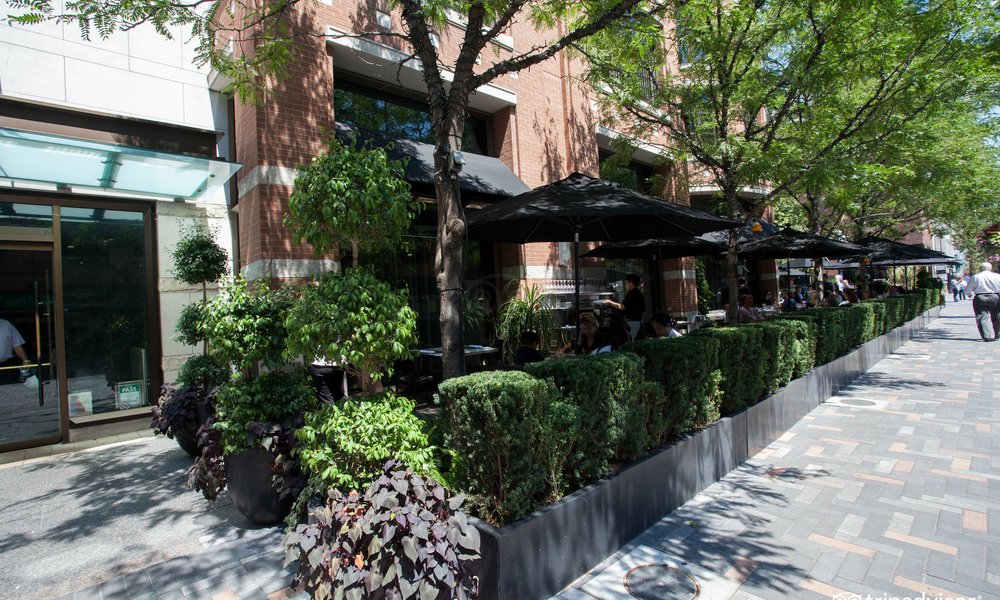 The Hazelton Hotel