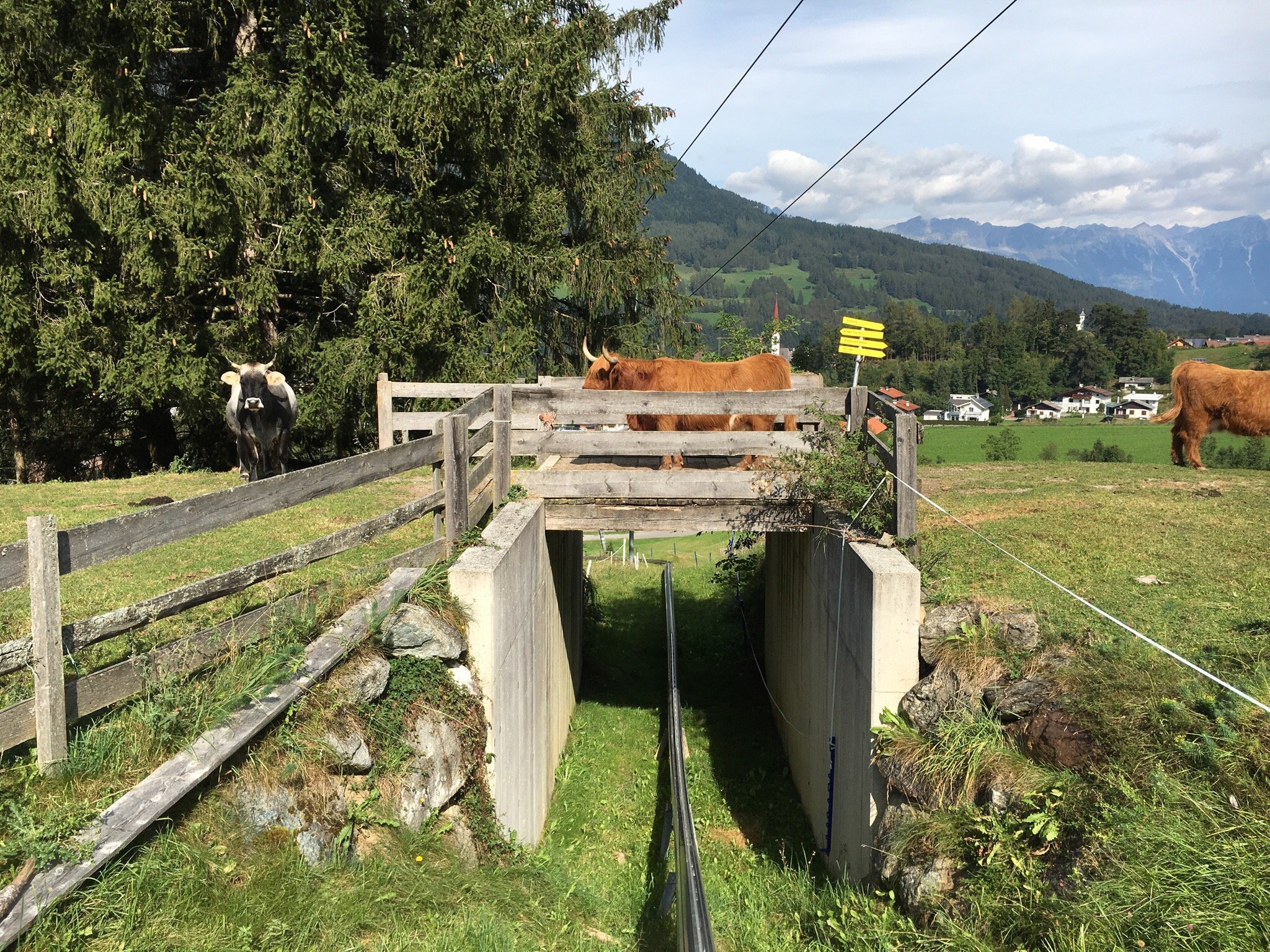 MIEDERS ALPINE COASTER All You Need to Know BEFORE You Go with