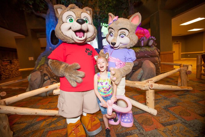GREAT WOLF LODGE - COLORADO SPRINGS, CO: 2023 Prices & Reviews - Photos