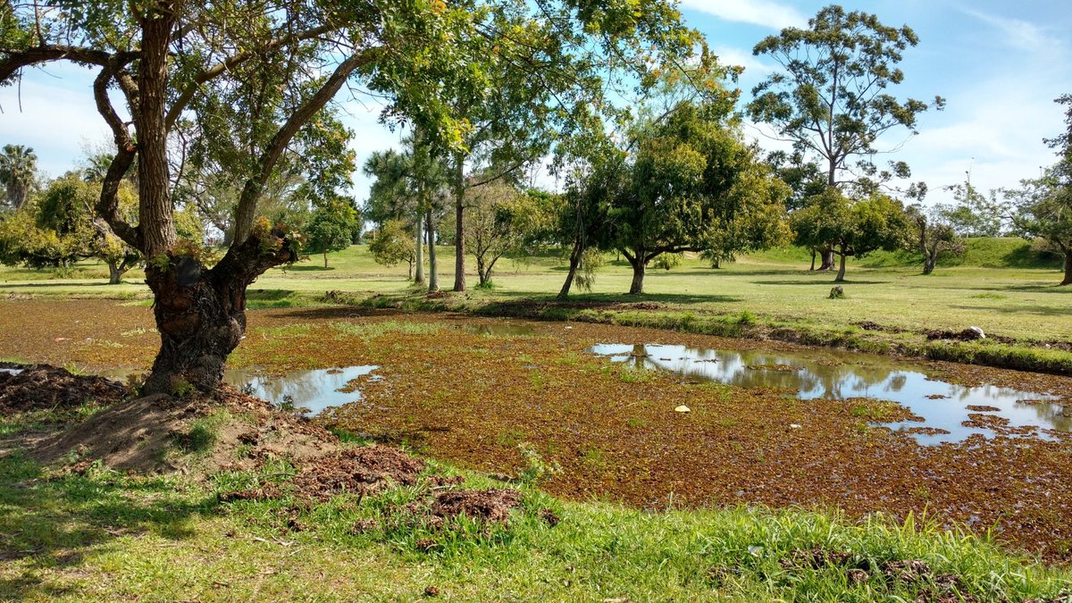 Ponto Kente Parque Marinha, RIO GRANDE