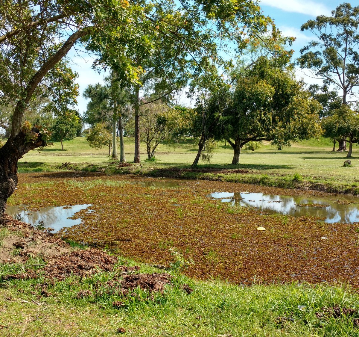 Ponto Kente Parque Marinha, RIO GRANDE