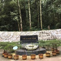 聂耳墓全貌