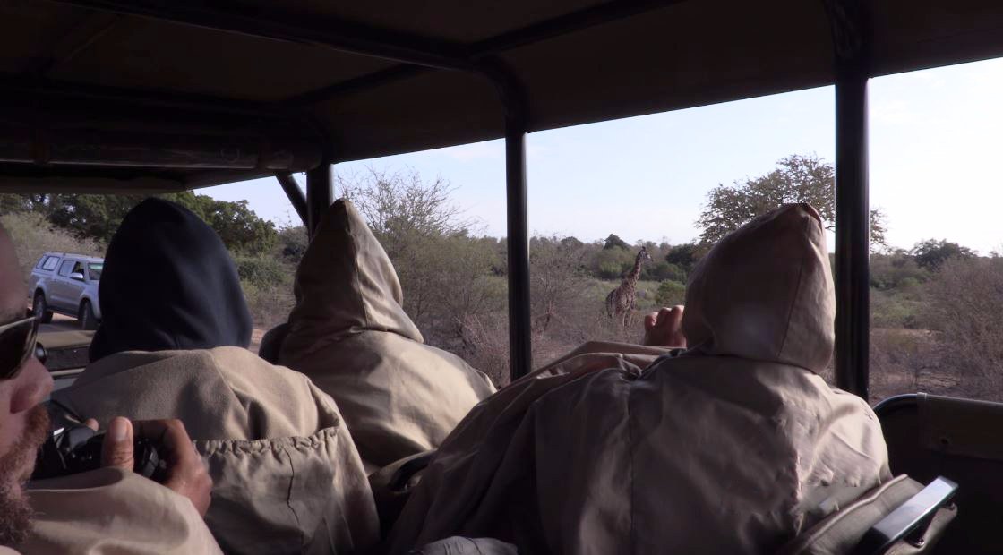 Kruger Park Tours - Kruger Game Drive (Hazyview, Sydafrika ...