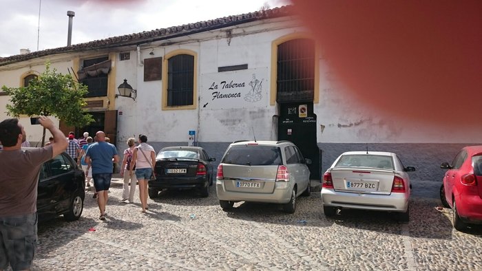 Imagen 9 de La Taberna Flamenca