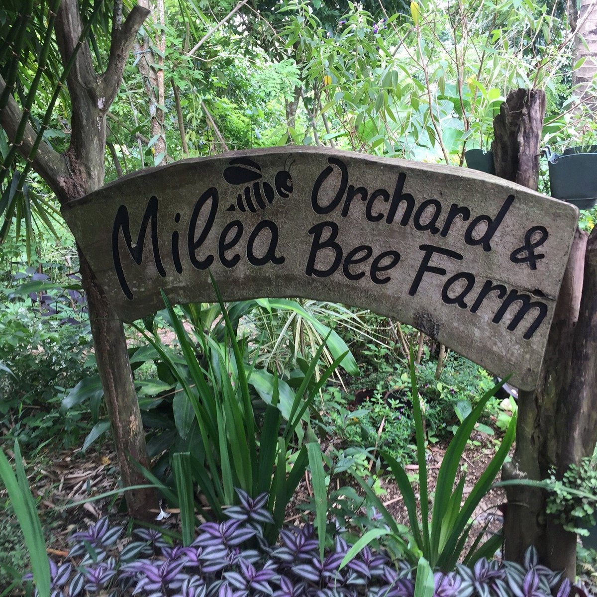 Milea Bee Farm - All You Need to Know BEFORE You Go (2024)