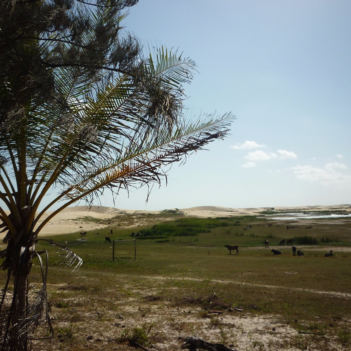 Dunas da Lagoa do Portinho - Piauí, Brasil, Até pouco tempo…