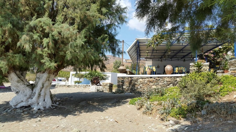 Κρυστάλλινα νερά και αλμυρίκια για σκιά!