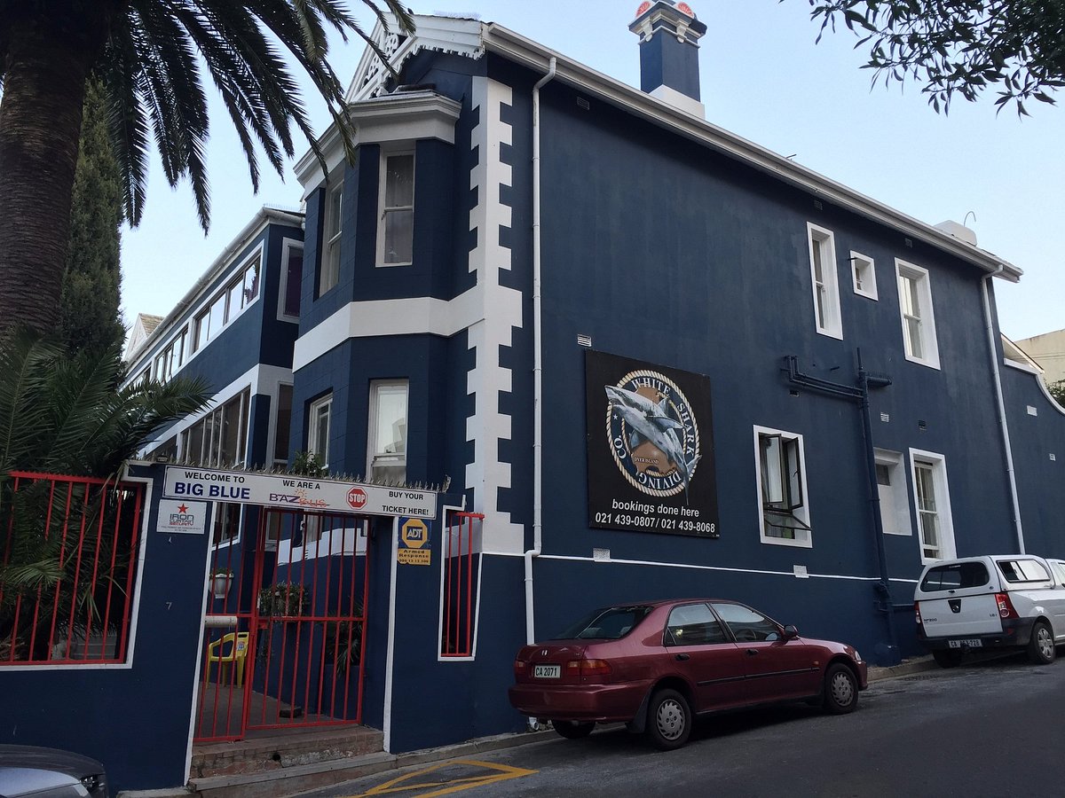 Big Blue Backpackers, hotel in Cape Town Central