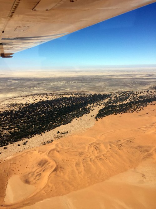Namib-Naukluft Park BradJill review images