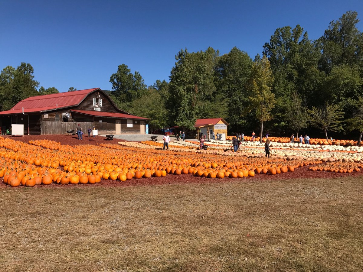 Restaurants open for thanksgiving ri