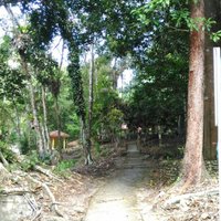 Lentang Forest Recretional Park - All You Need to Know BEFORE You Go (2024)