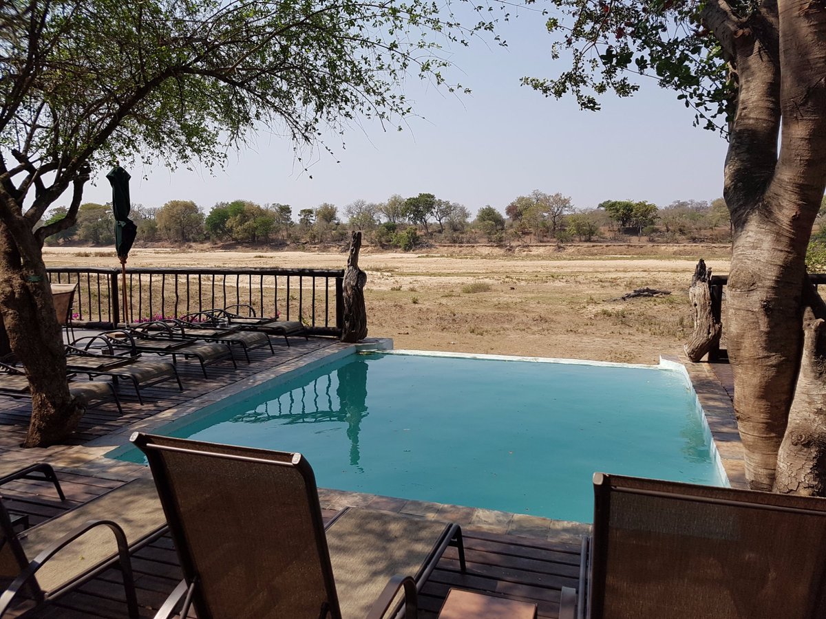 Umkumbe Safari Lodge Pool Pictures & Reviews - Tripadvisor